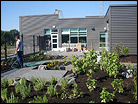 Green Roof Using GR52 Water Retention Panels